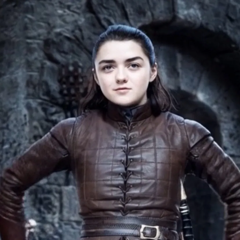 chat with ai character: Arya Stark S7-8