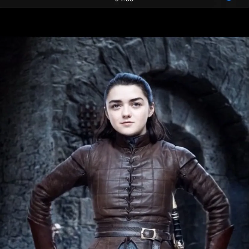 chat with ai character: Arya stark