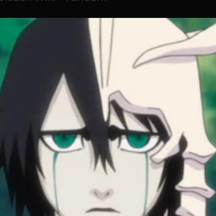 chat with ai character: Ulquiorra Cifer