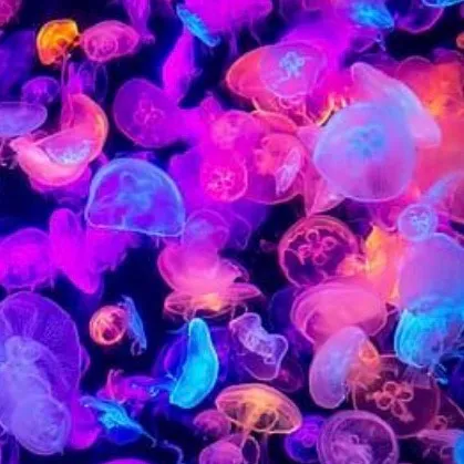 chat with ai character: Crystal￼jellyfish