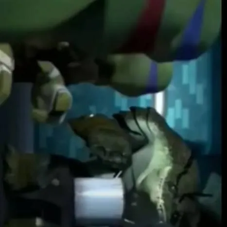 chat with ai character: TMNT 2012