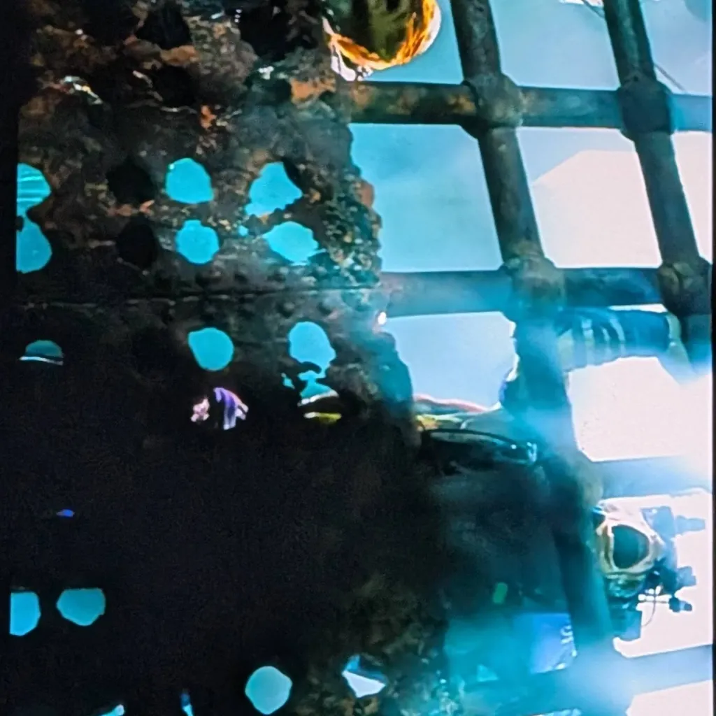 chat with ai character: Bayverse TMNT 