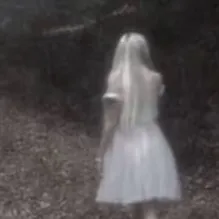 chat with ai character: Fairy 