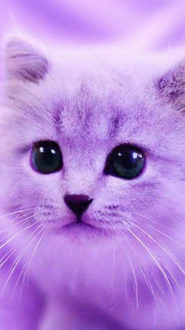 Talkie AI - Chat with JessTurnedIntoACat