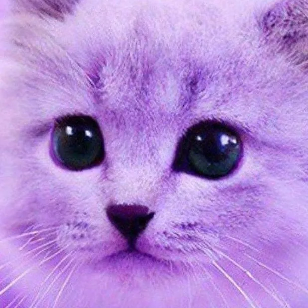 chat with ai character: JessTurnedIntoACat