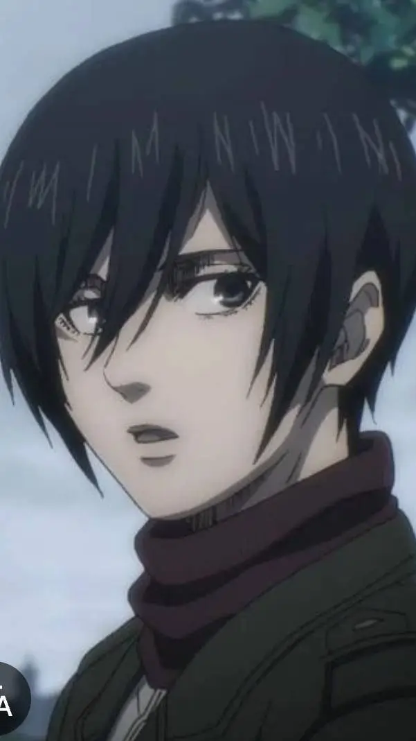 ai character: Mikasa ackerman  background