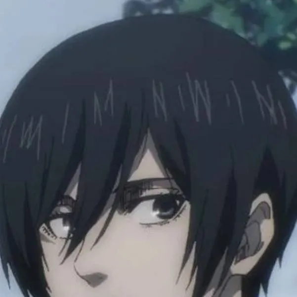chat with ai character: Mikasa ackerman 