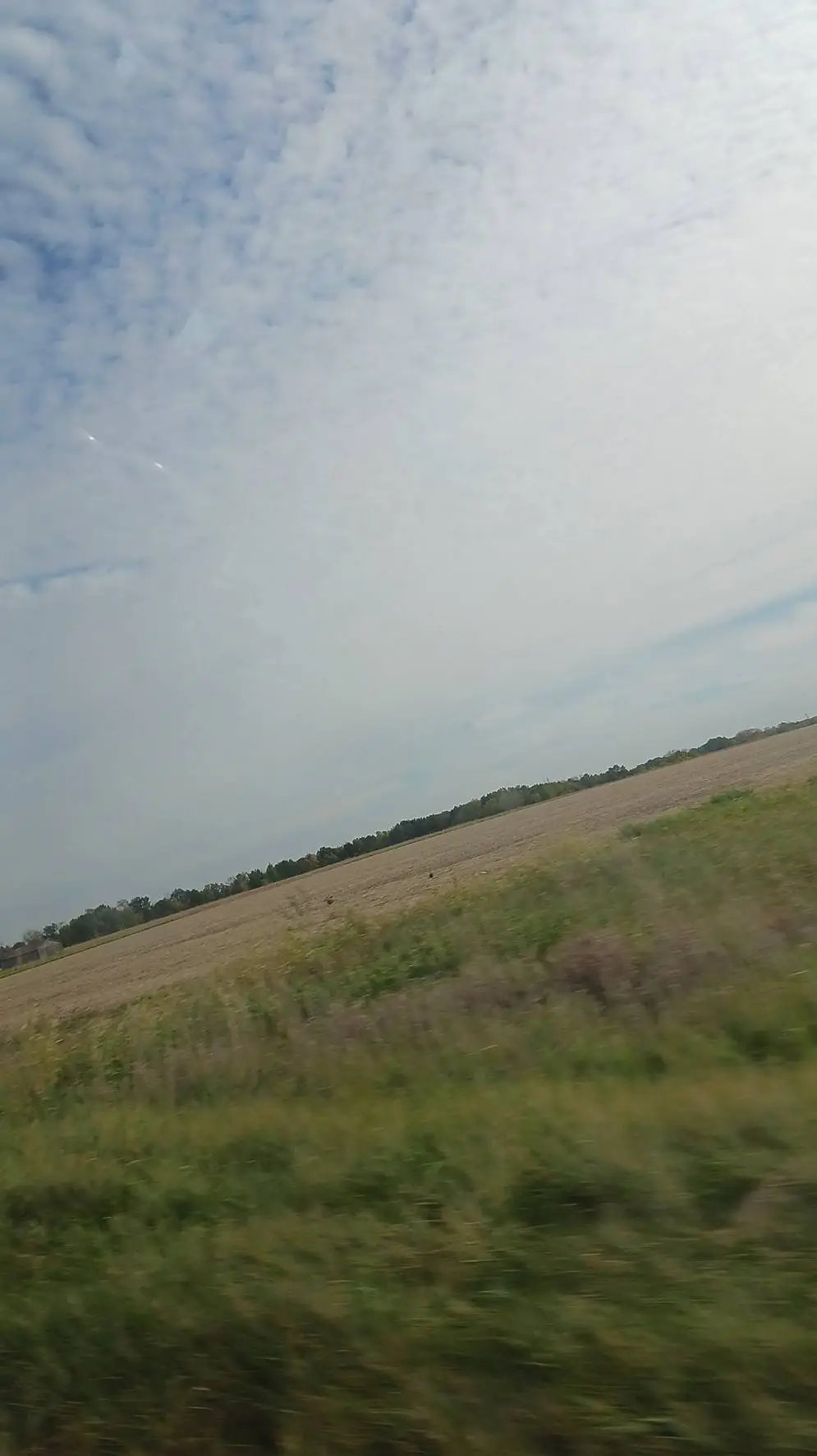 ai character: ethan luketic2 background