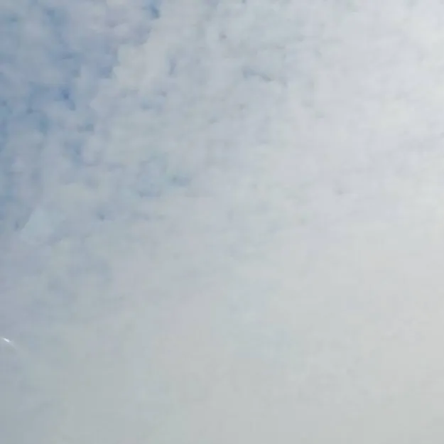 chat with ai character: ethan luketic2