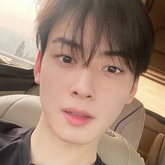 chat with ai character: Cha Eunwoo