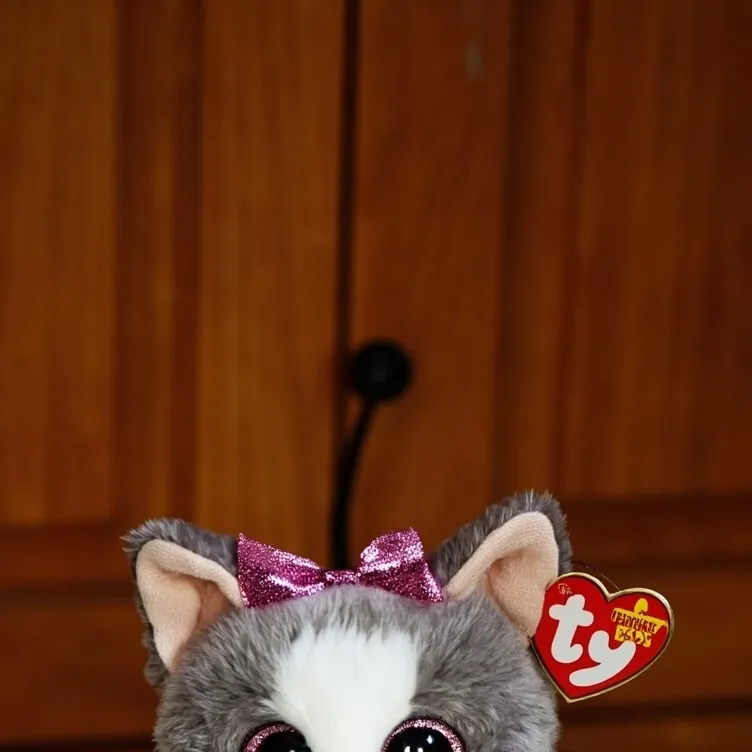 chat with ai character: Pretty kitty