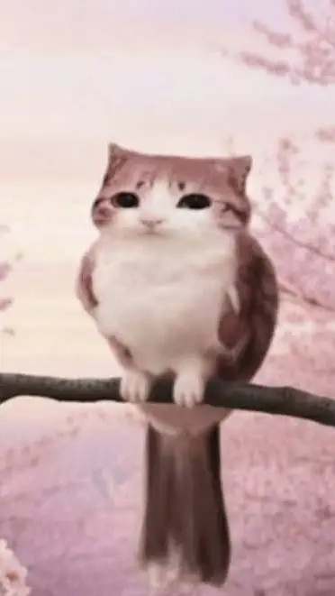 ai character: meowl  background