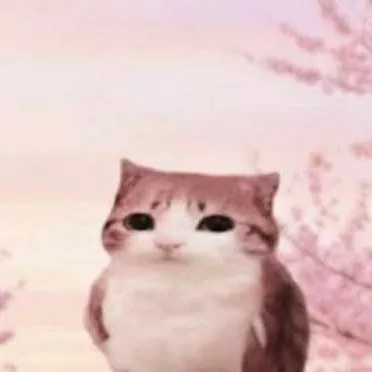 chat with ai character: meowl 