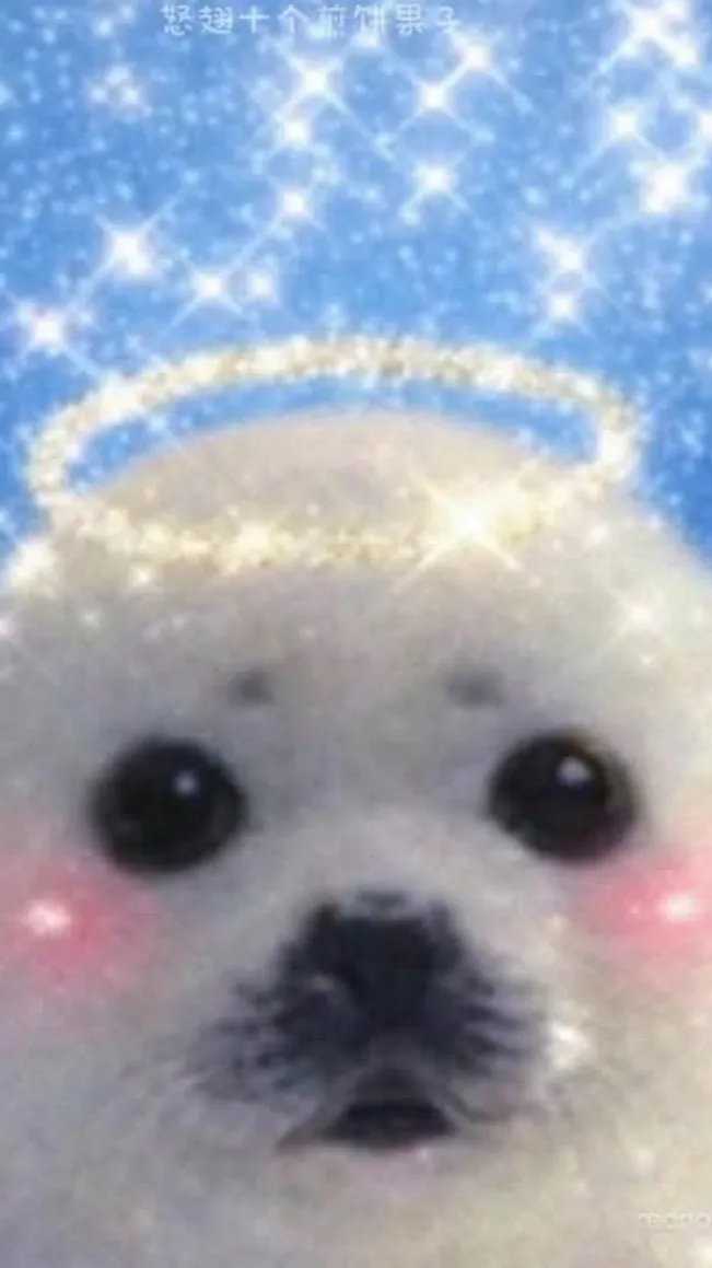 ai character: Fat silly seal background