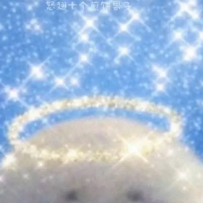 chat with ai character: Fat silly seal