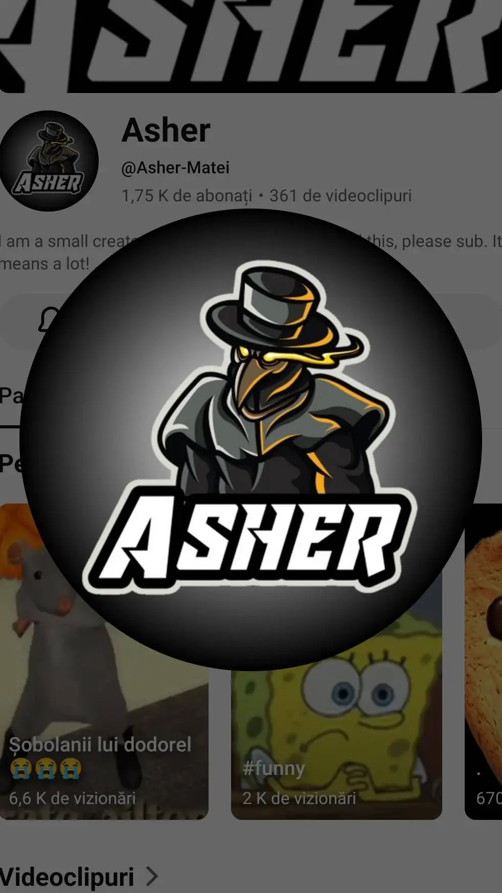 ai character: @Asher-Matei [UPD] background