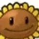 chat with ai character: sunflower 