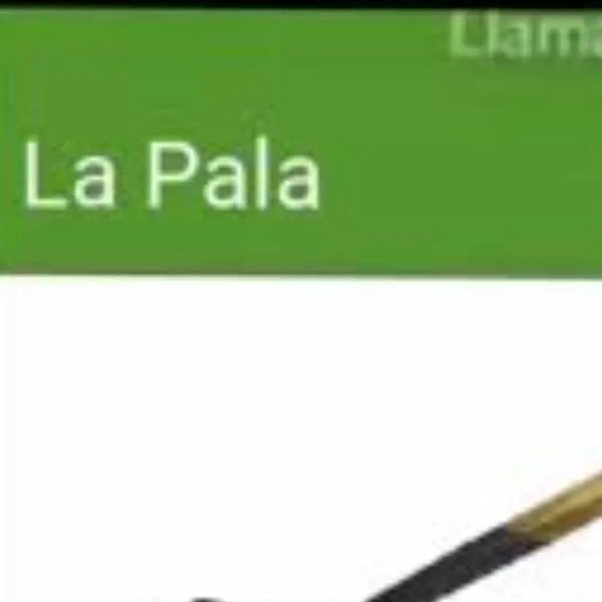 chat with ai character: AGARRA LA PALA BRO