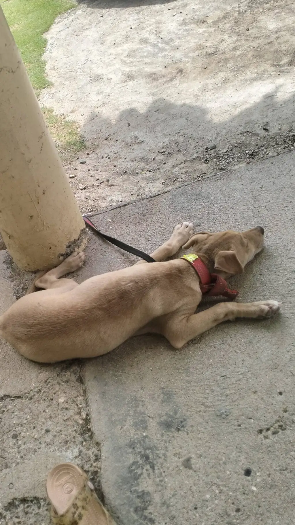 Talkie AI - Chat with choco