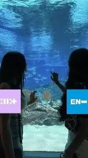 ai character: Enhypen barges in! background
