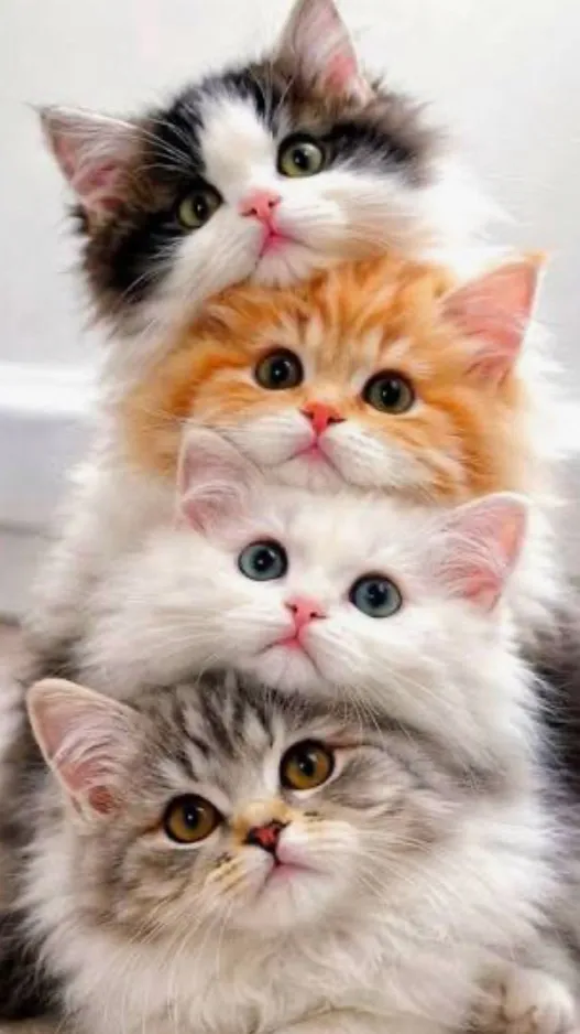 ai character: Kitten World background