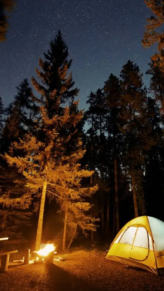 ai character: horror camping! background