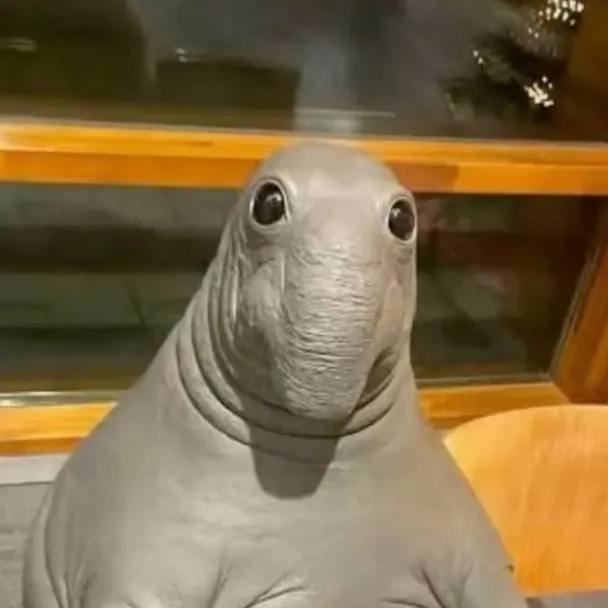 chat with ai character: seal