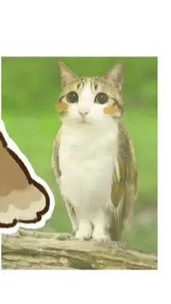 ai character: meowl x alien cat  background