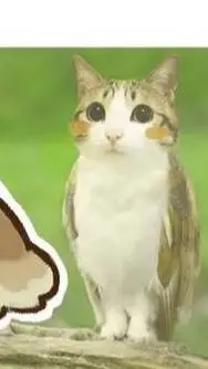 ai character: meowl x alien cat. background