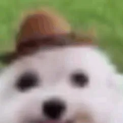chat with ai character: mi perro