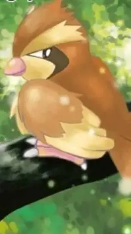 ai character: Pidgey background