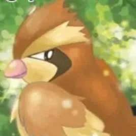 chat with ai character: Pidgey