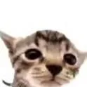 chat with ai character: pepito