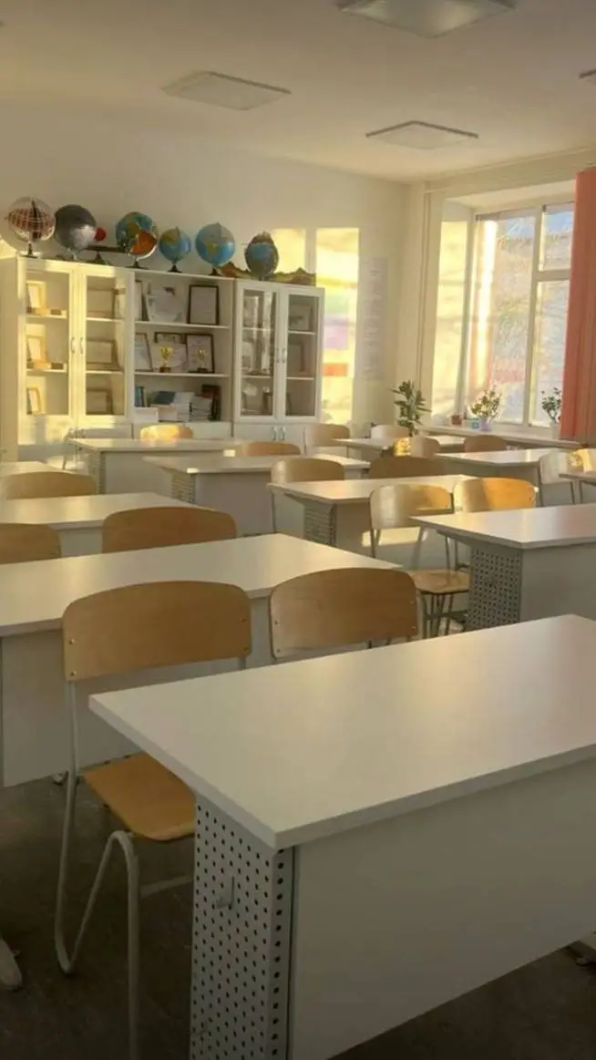 ai character: Secundaria background