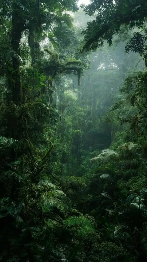 ai character: Rain forest background