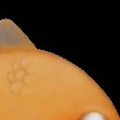 chat with ai character: Goldfish 