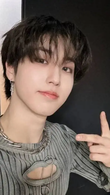 ai character: Han (skz) background