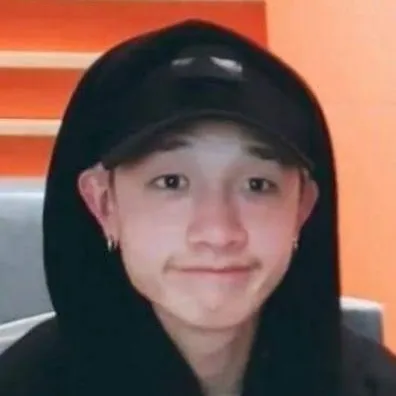 chat with ai character: Bangchan (skz)