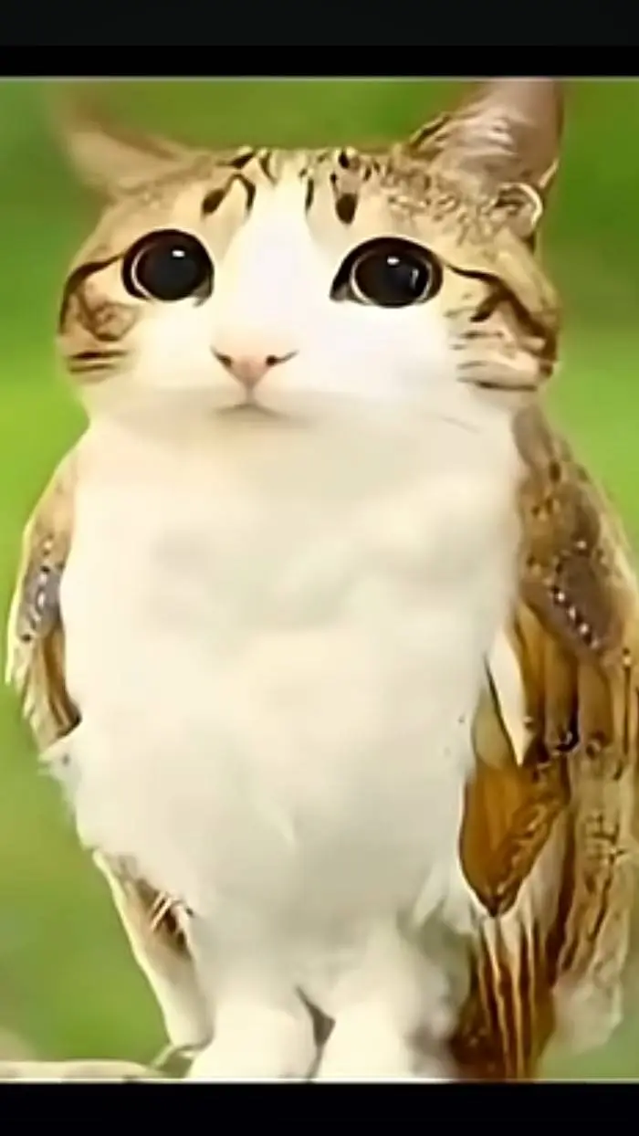 ai character: neowl background