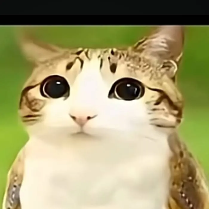 chat with ai character: neowl