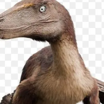 chat with ai character: Deinonychus (Xavi)