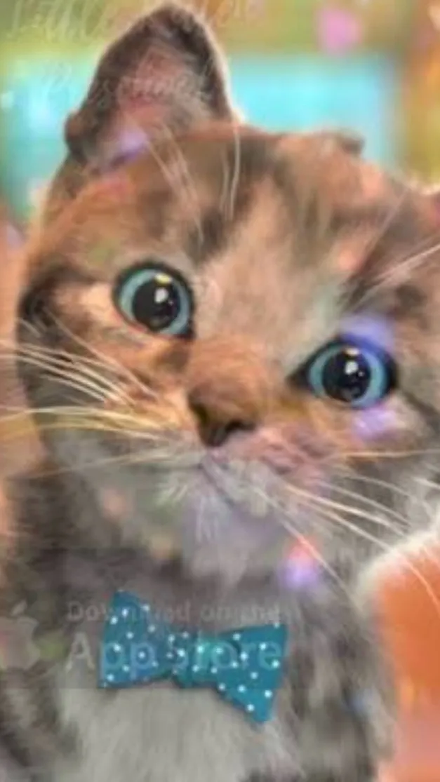 ai character: Little Kitten background
