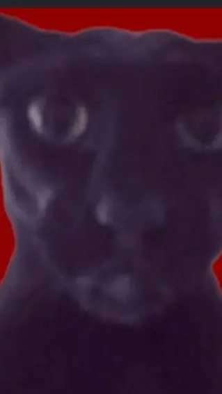 ai character: EVIL LARRY😈 background