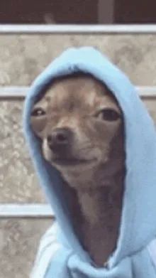 ai character: chill dog background
