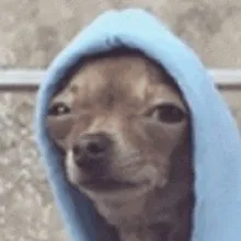 chat with ai character: chill dog