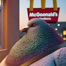 chat with ai character: fat pigeon