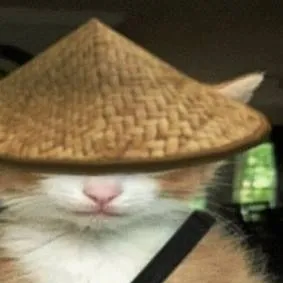 chat with ai character: Ninja Cat