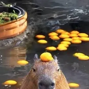 chat with ai character: Chill Capybara 🍊