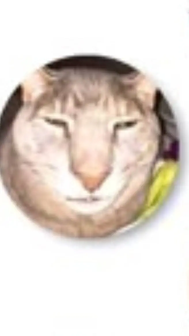 ai character: mini cat background