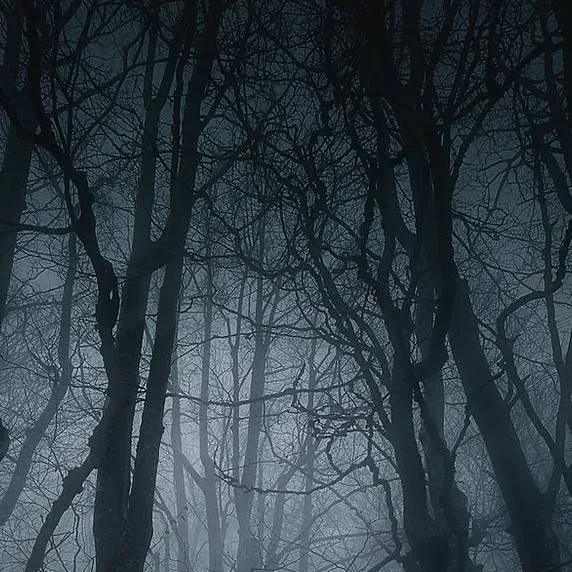 chat with ai character: TWST spooky woods